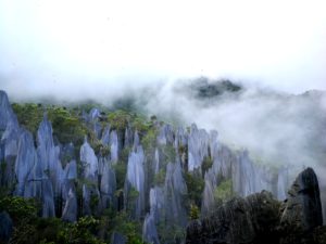 Pinnacles