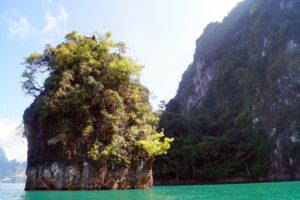 Khao Sok Felsen