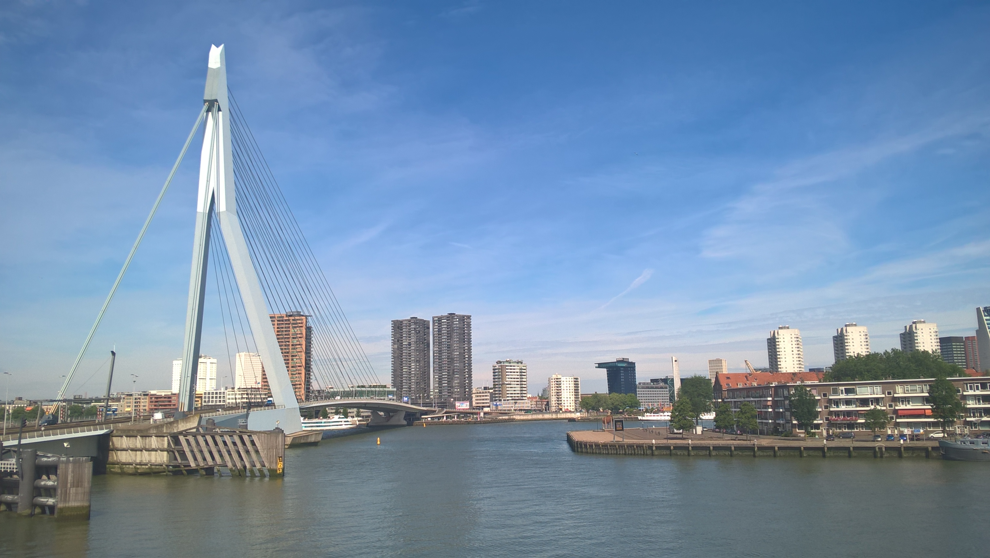 Die Erasmusbrug in Rotterdam